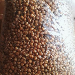 Ngô cay sỉ 5kg