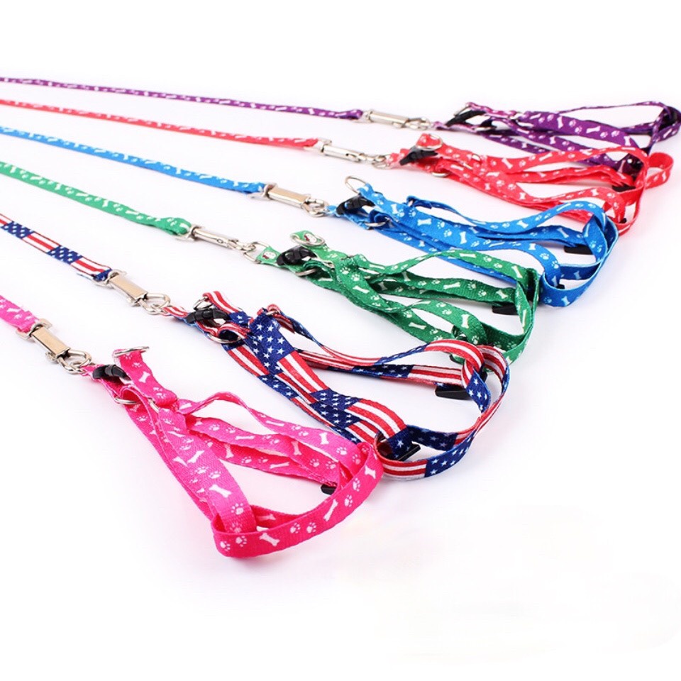 Dây Dắt Chó Mèo Đi Dạo Kèm Yếm Giá Rẻ - Pet Sun Flower 01.