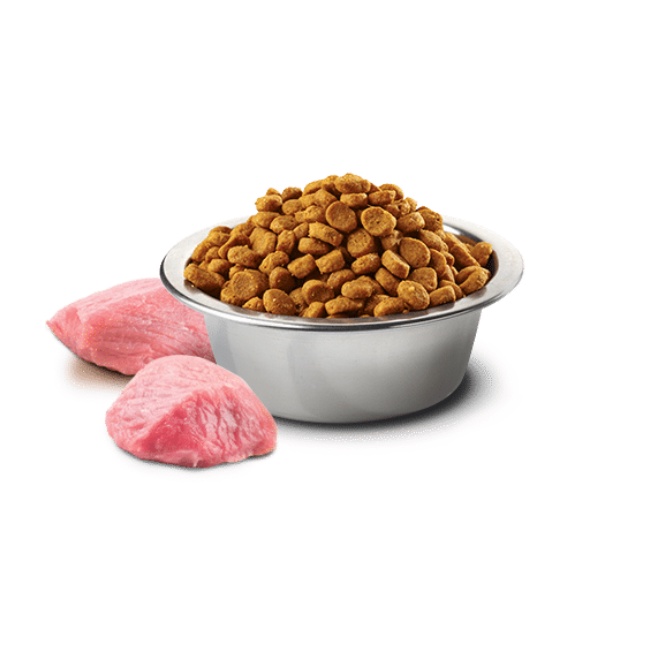 Túi 1.2Kg Hạt N&D Pumpkin Cho Chó Trưởng Thành Vị Heo Rừng, Bí Ngô, Táo
