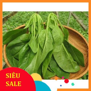 10g Hạt giống Cải Bó xôi