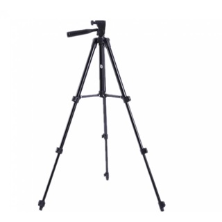 Gậy chụp hình tripod