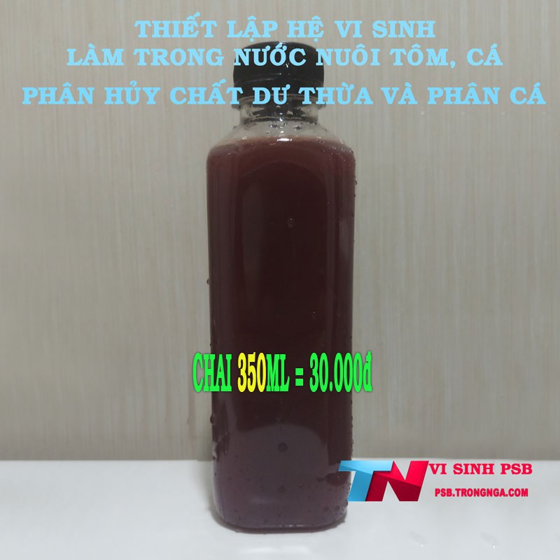 Vi khuẩn quang hợp PSB tốt cho nuôi tôm cá