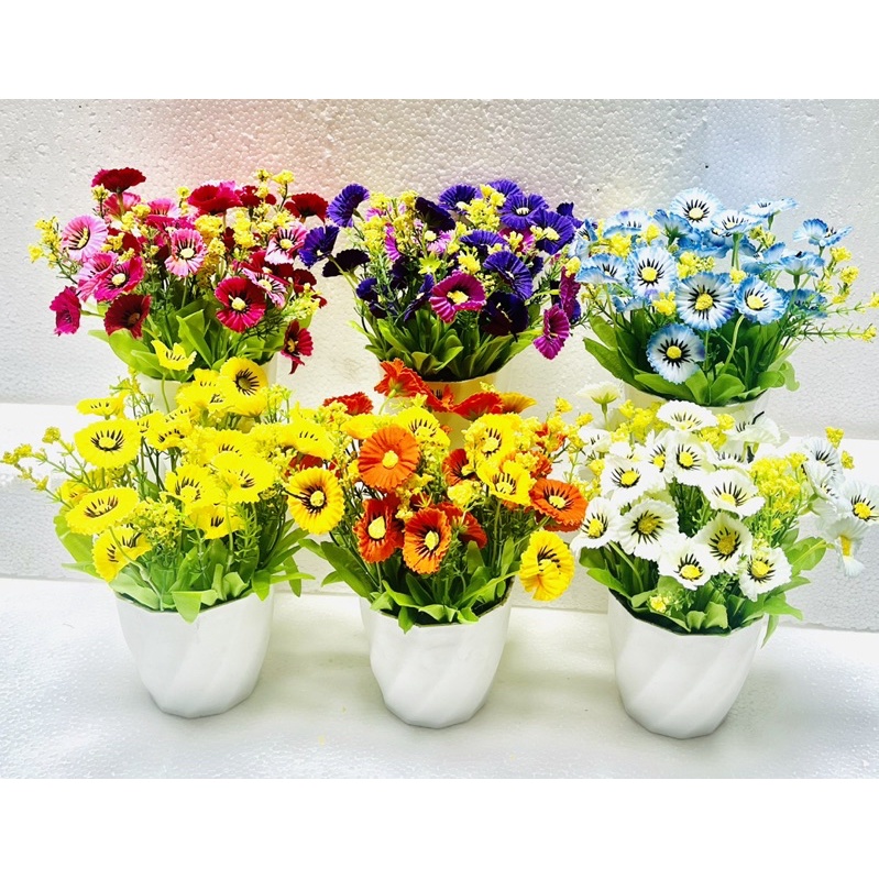 Chậu hoa Cúc Xu để bàn,decor nôin thất siêu xinh