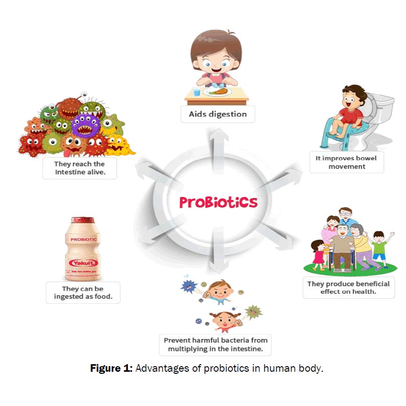 Hyperbiotics Primadophilus Pro Kids Cherry Chew Probiotic Acidophilus men vi sinh trẻ em và người lớn 45 và 60 viên