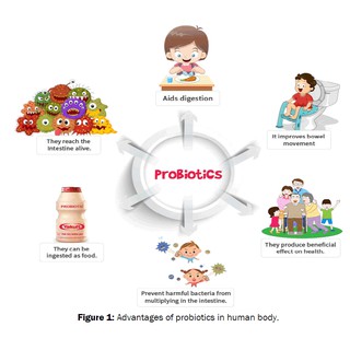 Hyperbiotics Primadophilus Pro Kids Cherry Chew Probiotic Acidophilus men vi sinh trẻ em và người lớn 45 và 60 viên