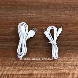 Loa Bluetooth Karaoke SDRD SD-306 kém 2 Micro