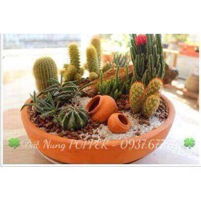 Túi 1 lít size M - Đất Sét Nung Popper Trồng Sen Đá Bonsai Hàng Thailand