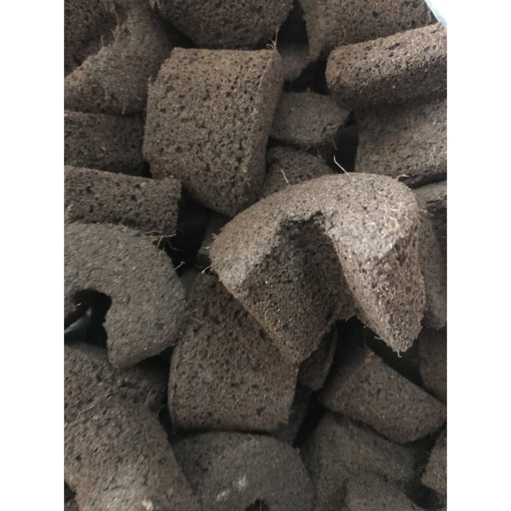 Mút ươm kei hữu cơ nhập khẩu Hà Lan (Size to)