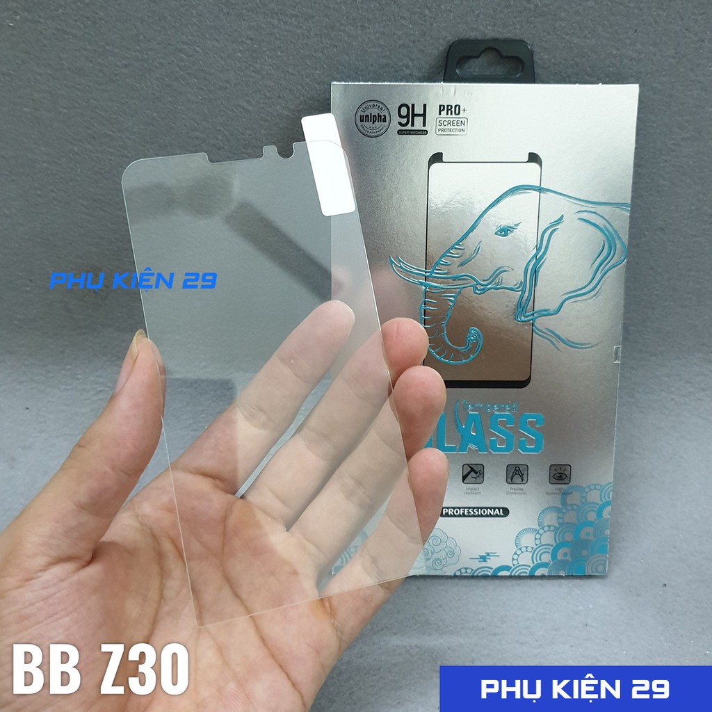 [Blackberry Z10/Z30] Kính cường lực Glass Pro+ 9H