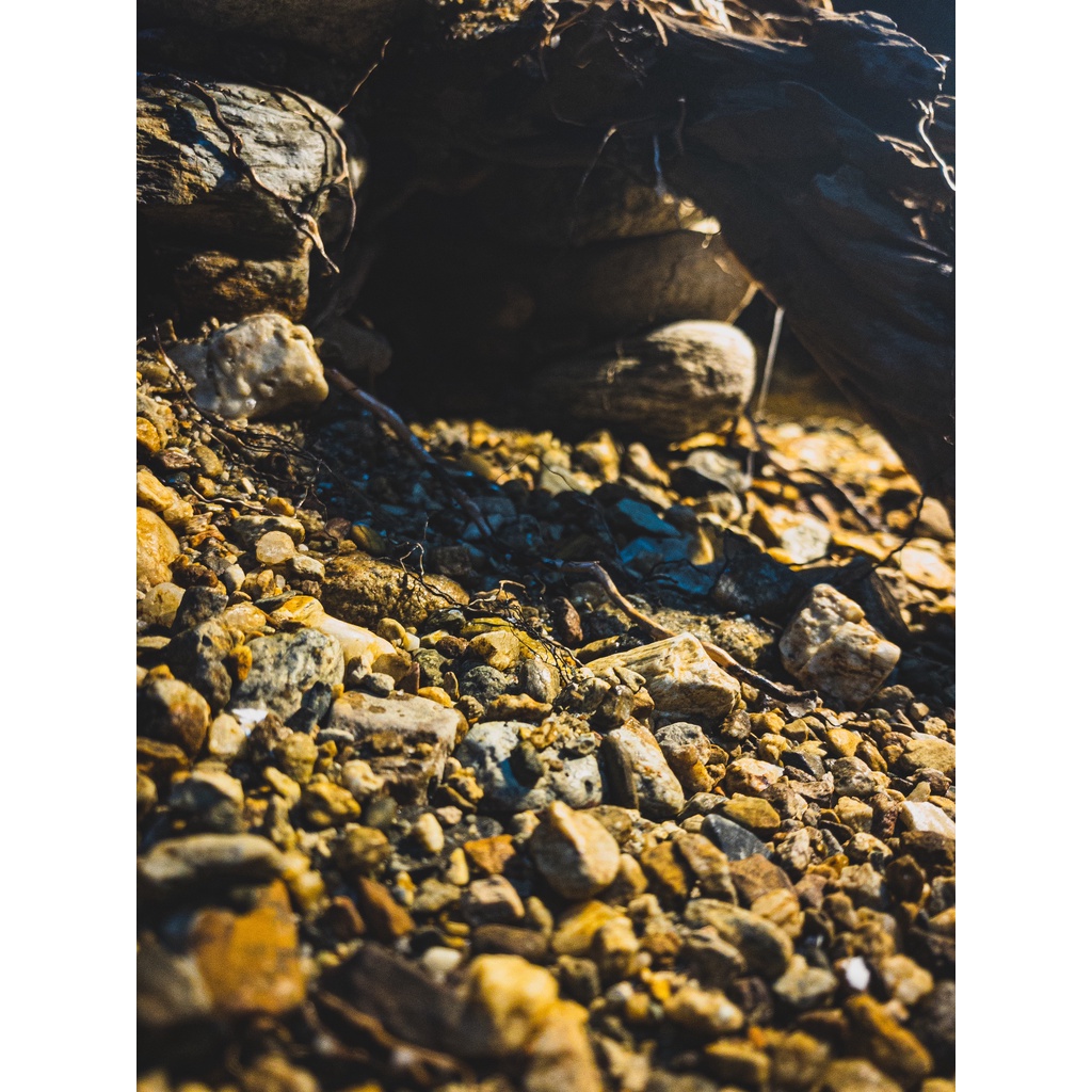 Sạn Suối Thiên Nhiên Femolay | Size M | Bao 2KG | Trang trí trải nền bể thủy sinh, Biotope.