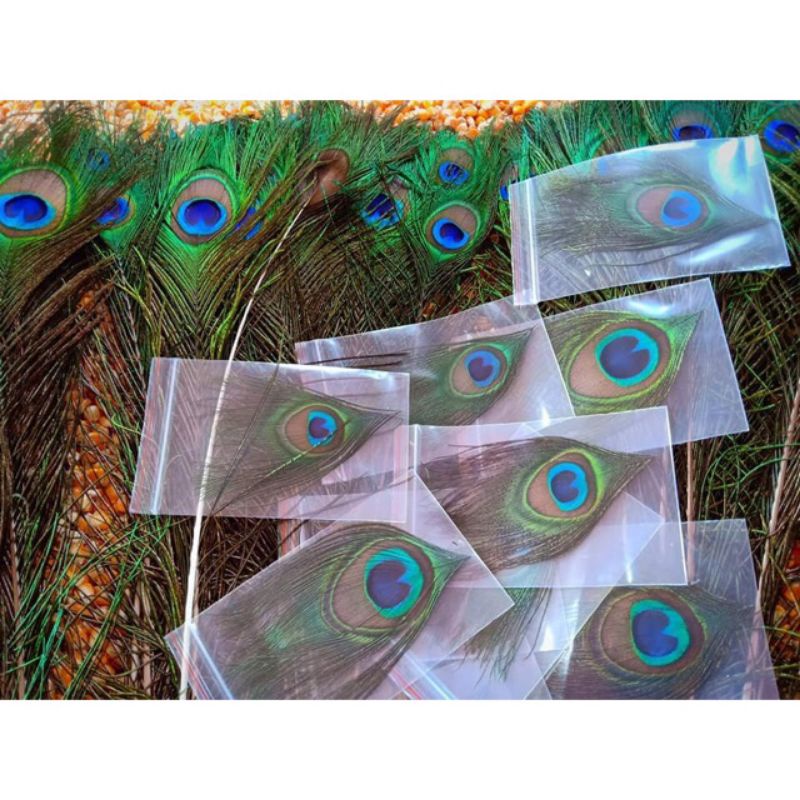 Lông công phong thủy lộc phát tự nhiên để ốp điện thoại