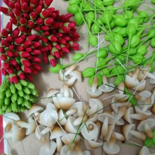 Combo nụ các loại