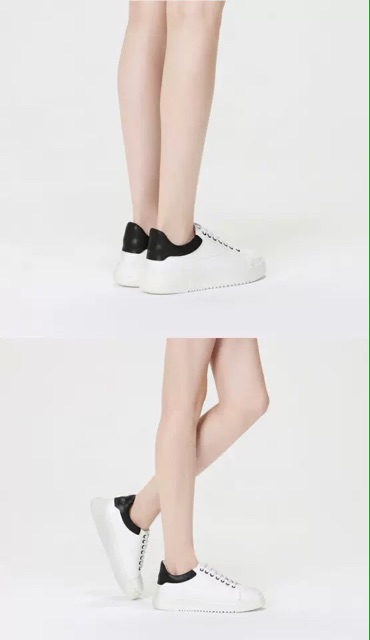 Giày Daphne , mcqueen