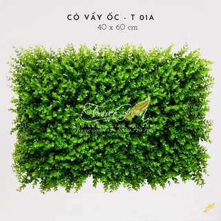 Thảm Cỏ Vẩy Ốc (Cỏ Bạch Đàn, Cỏ Tai chuột) _ Tấm cỏ Nhân Tạo Nhập Khẩu Trang Trí Cao Cấp