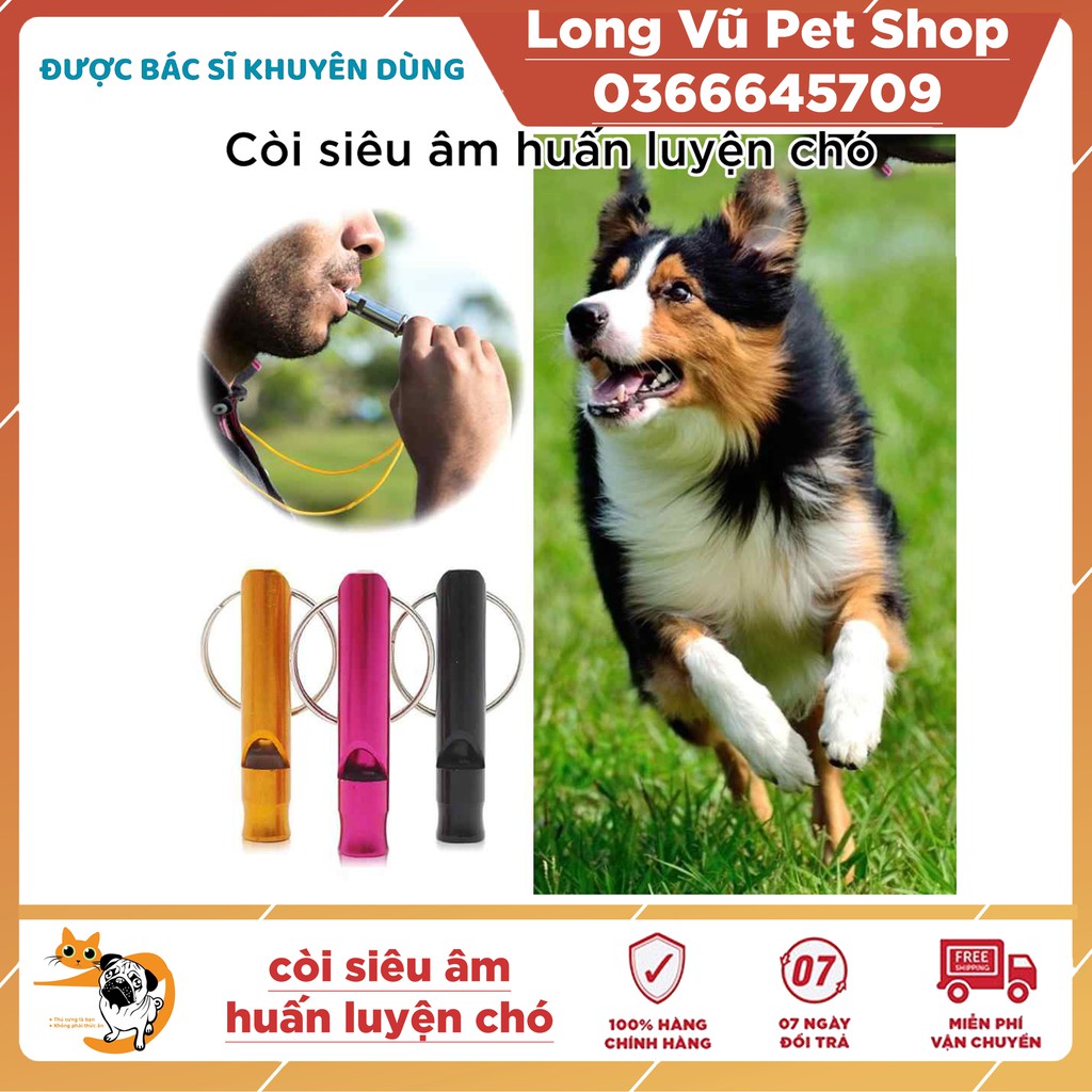 Còi huấn luyện chó chống sủa bằng sóng siêu âm