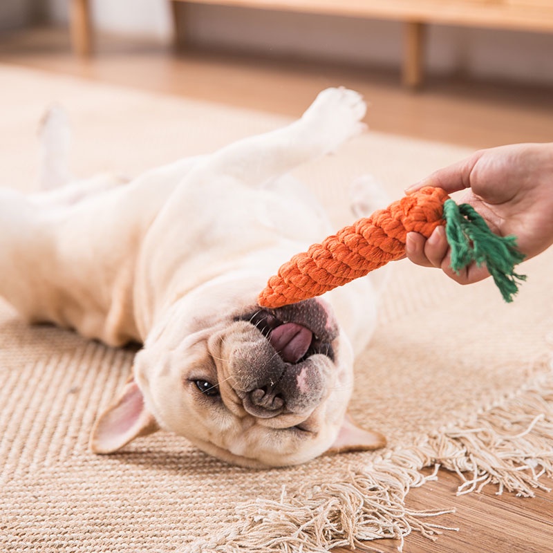 MASTI Đồ chơi gặm làm từ cotton cho thú cưng dễ thương LI0219