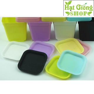 Chậu nhựa mini vuông