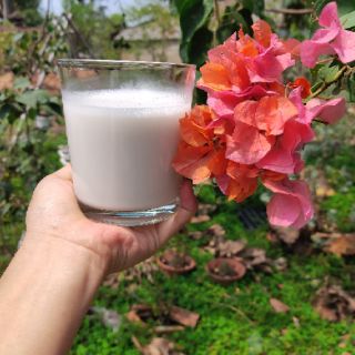 1kg hạt điều tươi sạch lụa nấu sữa