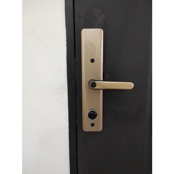 Khoá vân tay cửa gỗ size lớn mẫu Laffer LC08 2022