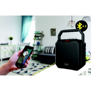 Loa bluetooth không dây karaoke 30W W-King K2