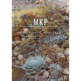 Phân bón Phê có búp hoa bự, bổ sung P K cho hoa to khỏe nặng