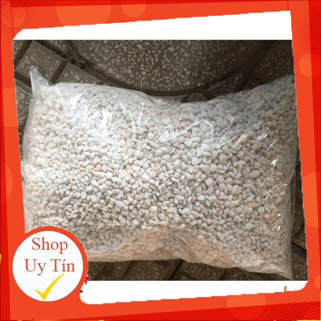 Đá perlite 500gr, giá thể trộn sen đá, xương rồng cực tốt |FREESHIP  HÀNG UY TÍN | LỖI 1 ĐỔI 1