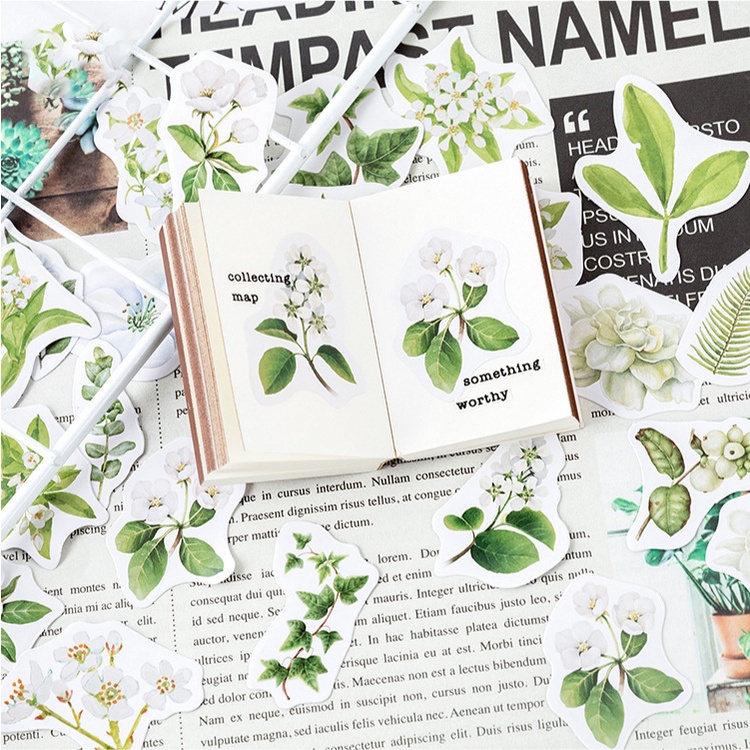 Hộp 46 chiếc sticker TRÀ TRẮNG LÁ XANH vintage tươi mát trang trí sổ Bullet Journal, decor Thư Thiệp Quà