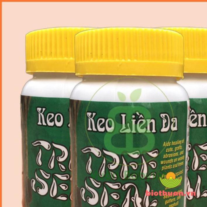 Keo trét cây sứ Keo Liền Da Mỹ Morrison 100g
