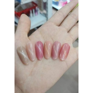 sét sơn gel thạch mắt mèo aishini 6 chai