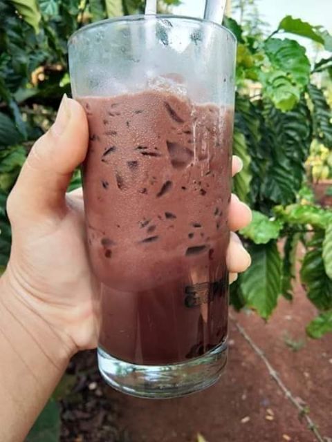 500gram Hạt Macca Organic ĐăkLăk size A (sấy lạnh) có ATTP (hạt mắc ca) | BigBuy360 - bigbuy360.vn