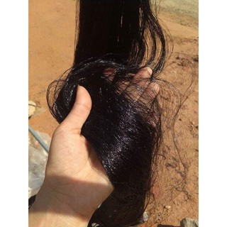 Lưới bẫy chim cu cò quốc sáo dài 60m cao 6m.