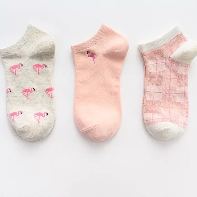 Set 3 đôi vớ cao cấp nữ cổ ngắn hãng Caramella chất vải cotton co giãn thấm hút mồ hôi