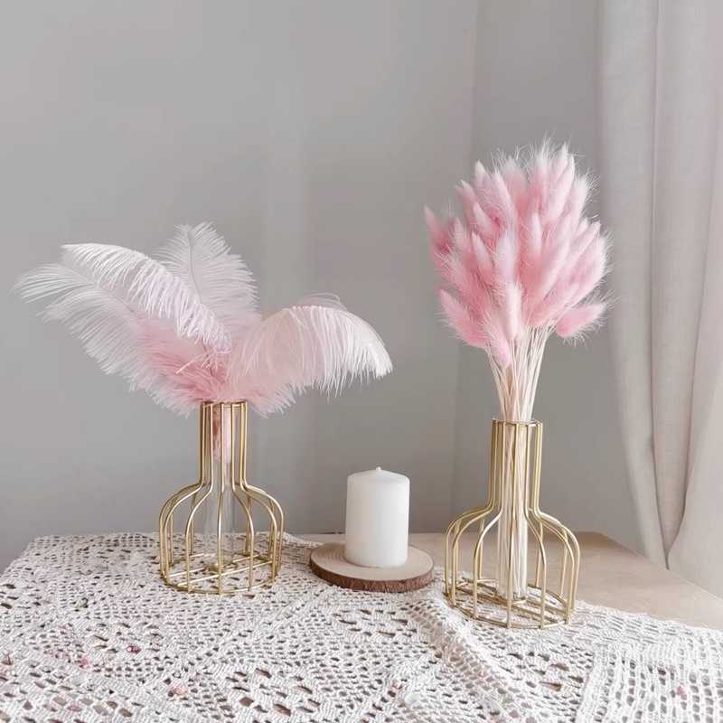 Hoa khô Cỏ đuôi thỏ trang trí décor bàn làm việc, phòng ngủ, chụp hình phong cách Bắc Âu
