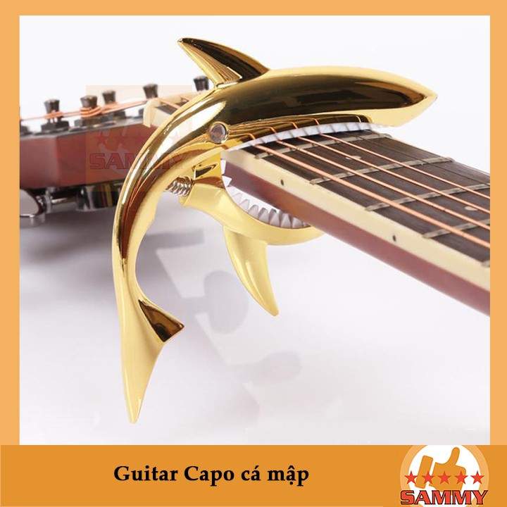 [ Tặng Giáo Trình Guitar ] GUITAR CAPO CÁ MẬP - GUITAR SHARK CAPO Gold, Bạc, Titan, Đen, Hồng