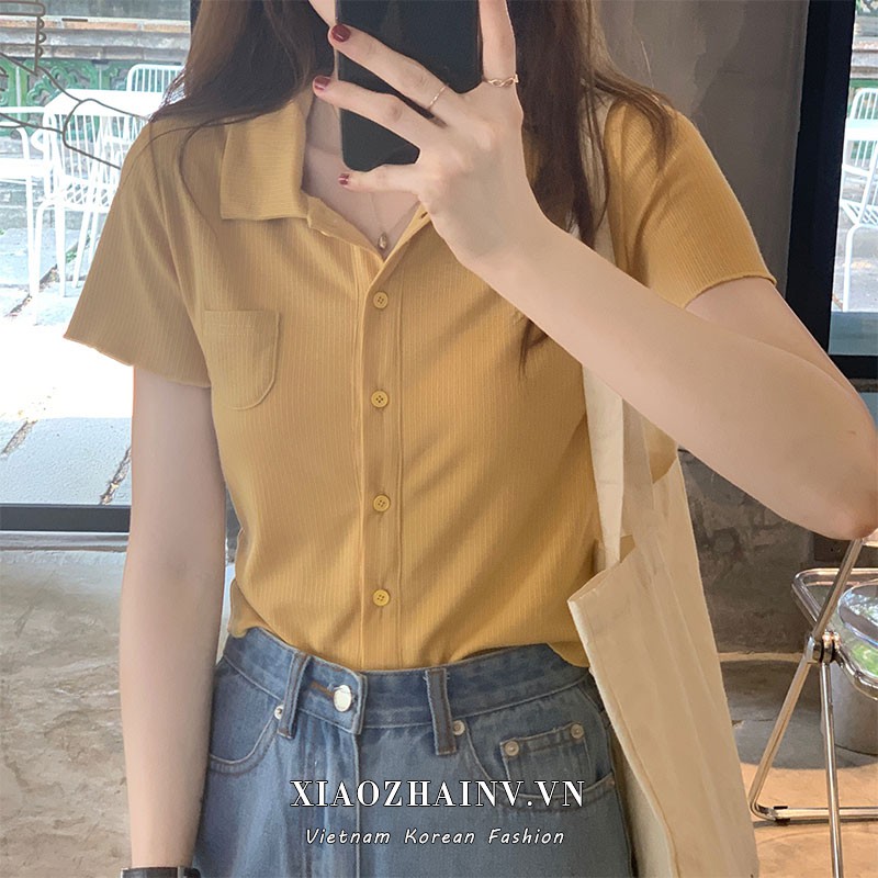 Áo Thun Polo Ngắn Tay Với 5 Màu Sắc Chọn Lựa Xinh Xắn Cho Nữ | BigBuy360 - bigbuy360.vn