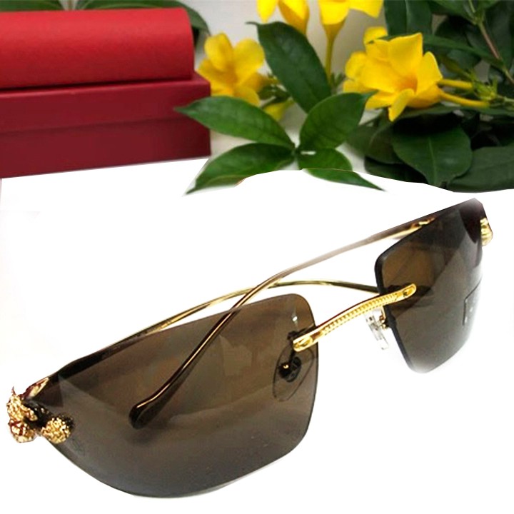 kính mắt nam càng báo