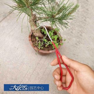 Móc rễ cây cảnh bonsai cán thép