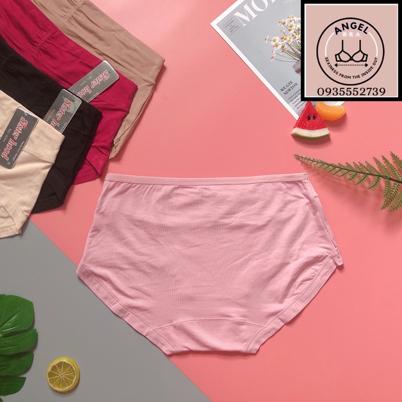Quần lót chuẩn Thái Lan Sister Hood 3044, quần chip mịn màng êm ái cotton - angel.bra