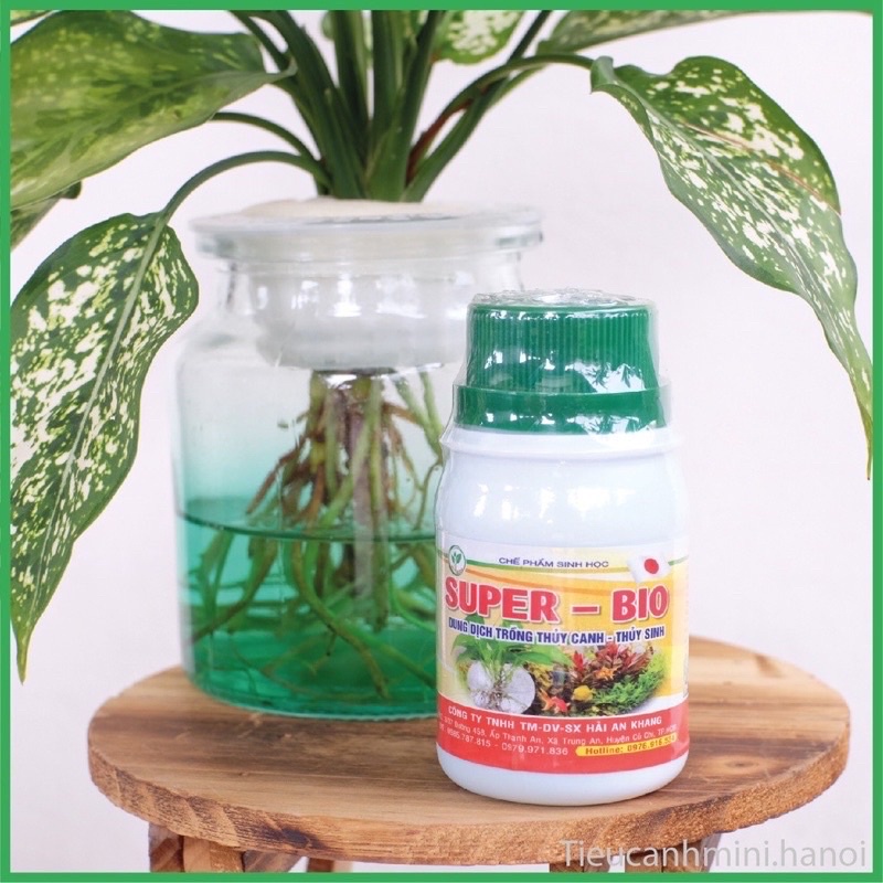Combo 2 Dung Dịch Trồng Cây Thuỷ Canh, Thuỷ Sinh Bio Life + Super Bio