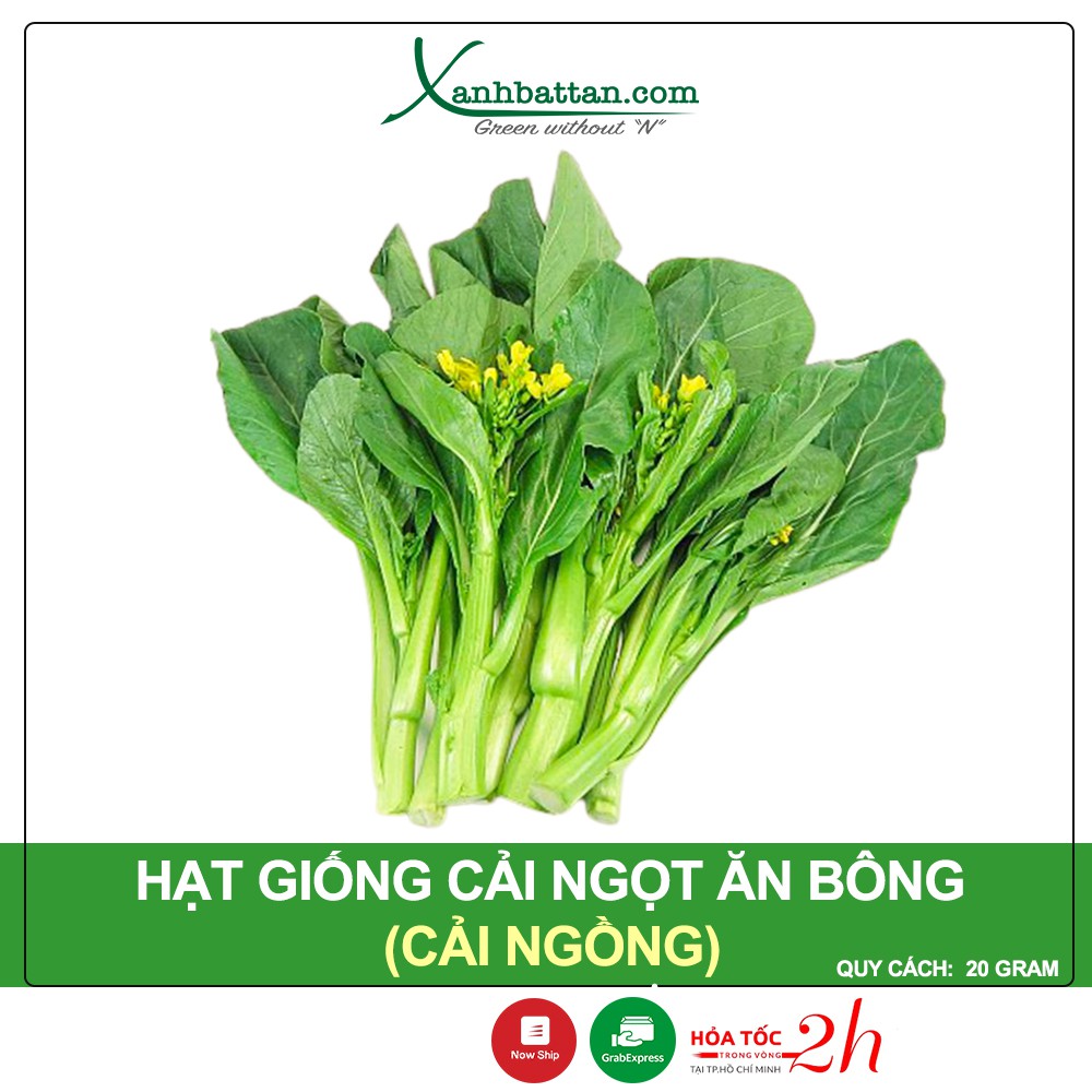 Hạt Giống Cải Ngọt Ăn Bông (Cải Ngồng) Phú Nông Gói 20 Gram