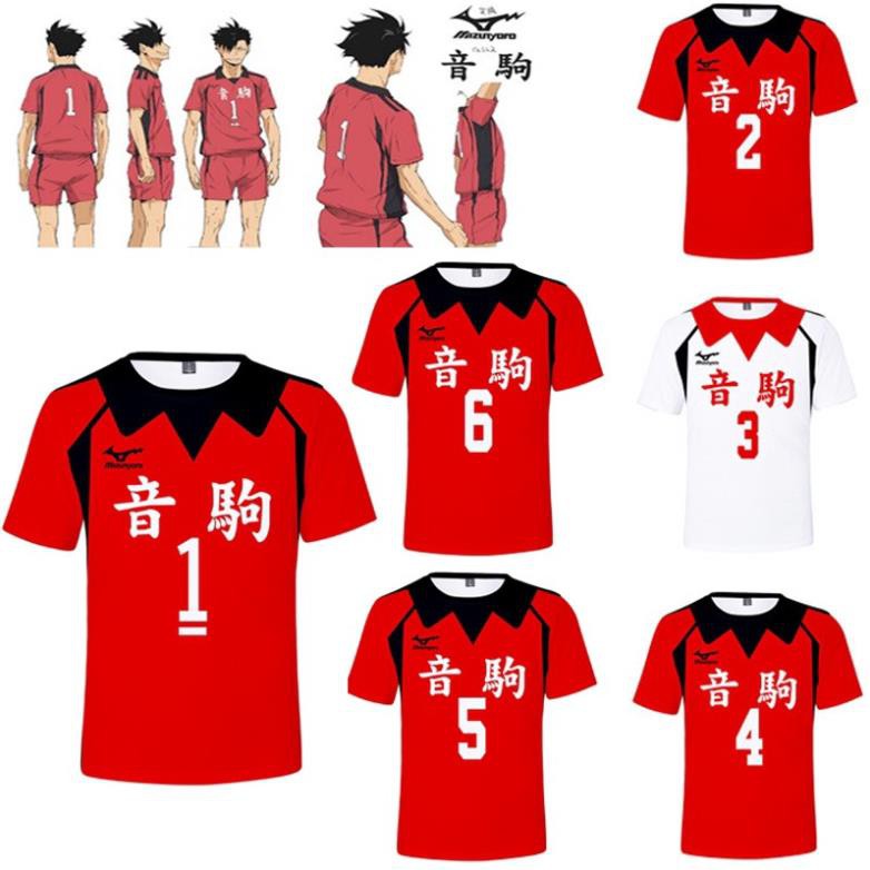 Áo Thun Ngắn Tay Hóa Trang Nhân Vật Anime Nekoma !