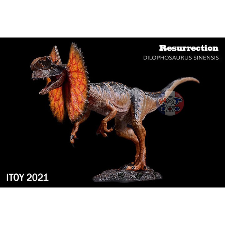 Mô hình khủng long Dilophosaurus Sinensis iToy tỉ lệ 1/35 chính hãng