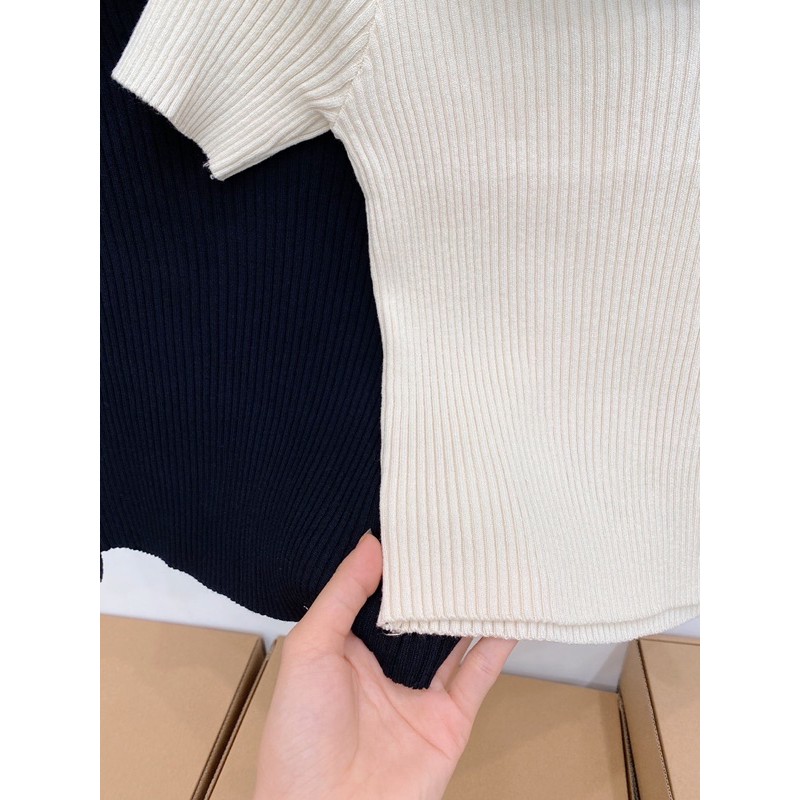 polo cổ màu | BigBuy360 - bigbuy360.vn