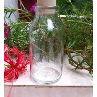 Chai thủy tinh 100gr nút nhấn bần/nút đậy