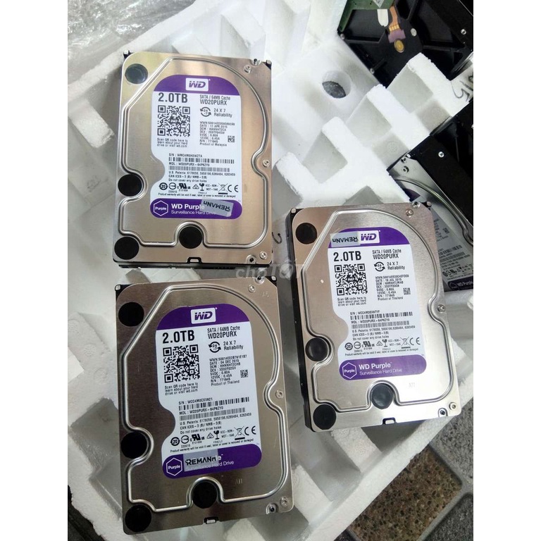 Ổ Cứng HDD 500GB 1TB Màu Tím Chuyên Dụng Cho Camara - Bảo Hành 12 Tháng