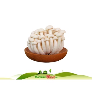 Nấm linh chi trắng - gói 125g