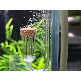 Sủi Co2 Neo (loại ngắn)....
