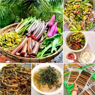 Lươn vàng làm sạch