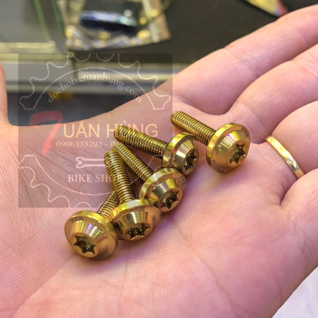 5 con Ốc proti vàng 6ly 2cm