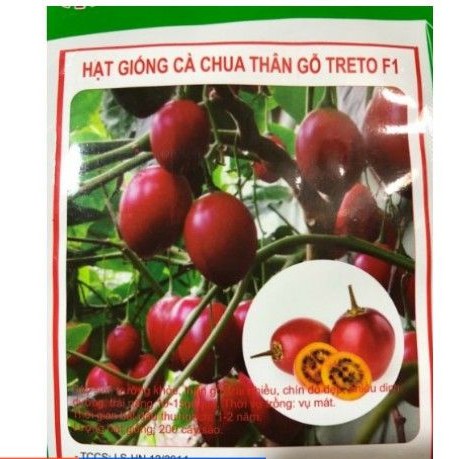 Gói hạt cà chua leo thân gỗ